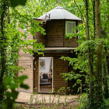 Honeycombe - Treehouse In The Heart Of Dorset Villa Blandford Forum Buitenkant foto