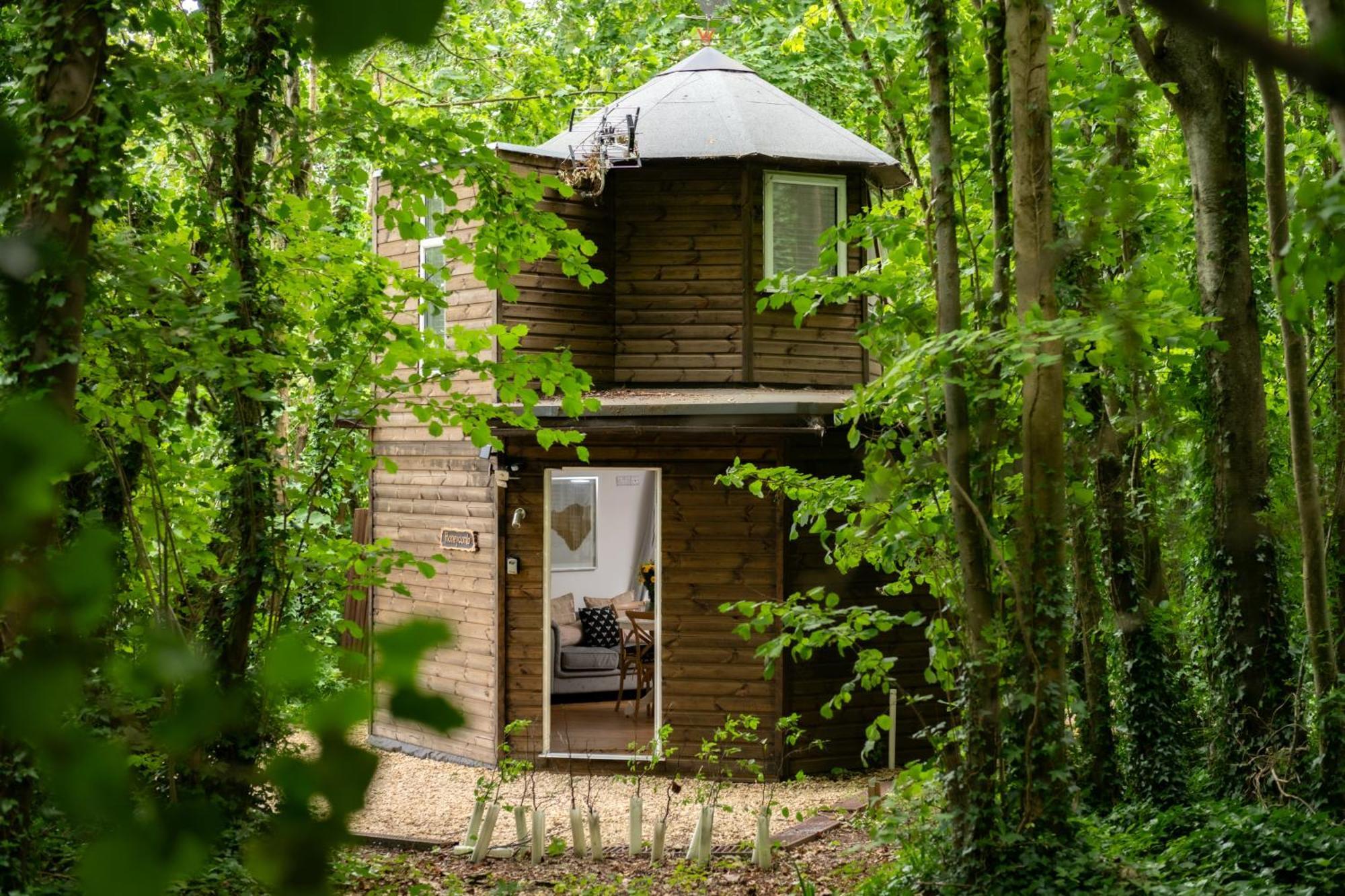 Honeycombe - Treehouse In The Heart Of Dorset Villa Blandford Forum Buitenkant foto