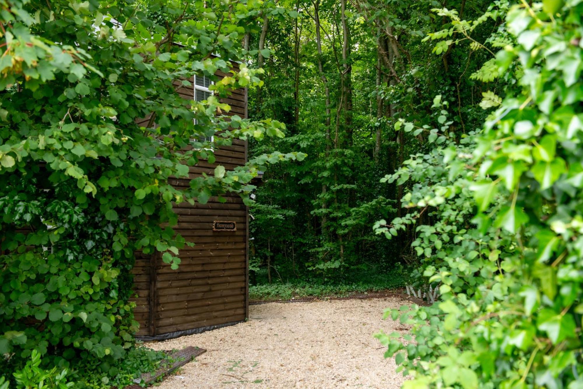 Honeycombe - Treehouse In The Heart Of Dorset Villa Blandford Forum Buitenkant foto